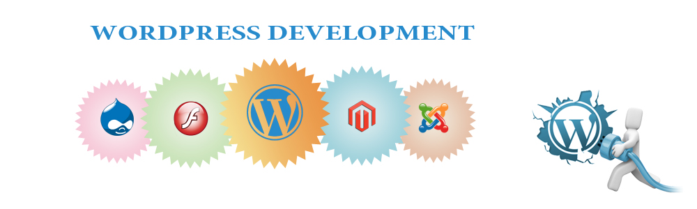 Wordpress Development Company Mumbai